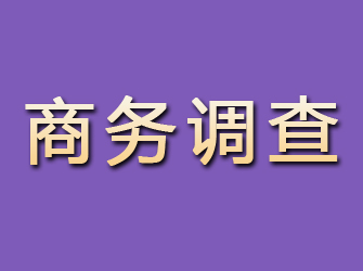 漠河商务调查